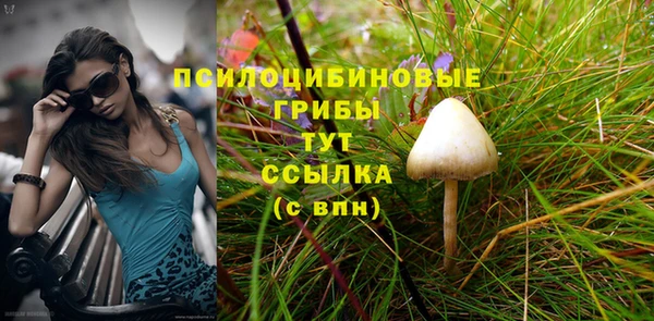 apvp Верхний Тагил