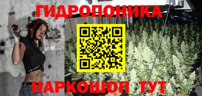 наркотики Ачхой-Мартан