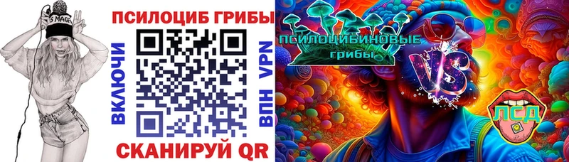 Галлюциногенные грибы Psilocybine cubensis Мончегорск
