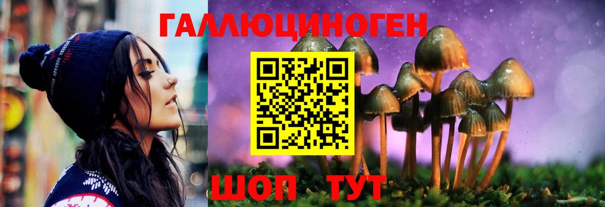 Мончегорск  Псилоцибиновые грибы Psilocybine cubensis  Вход с VPN 